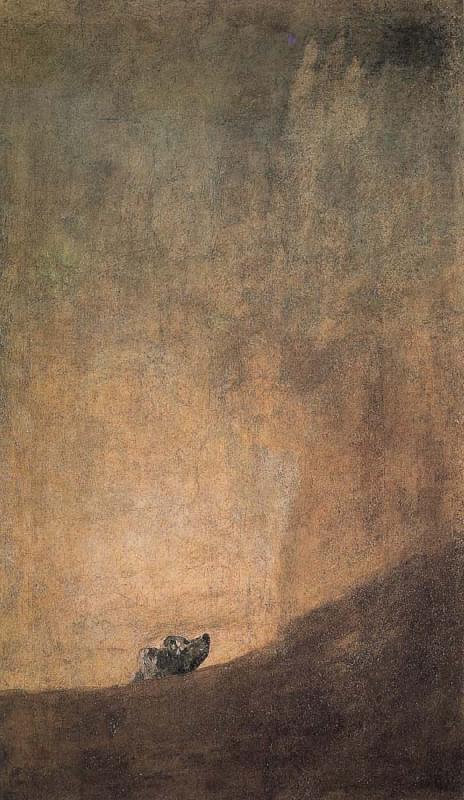 The Dog, Francisco Goya